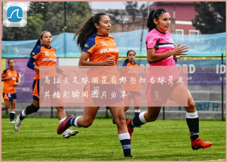 乌拉圭足球明星有哪些知名球员及其精彩瞬间图片分享