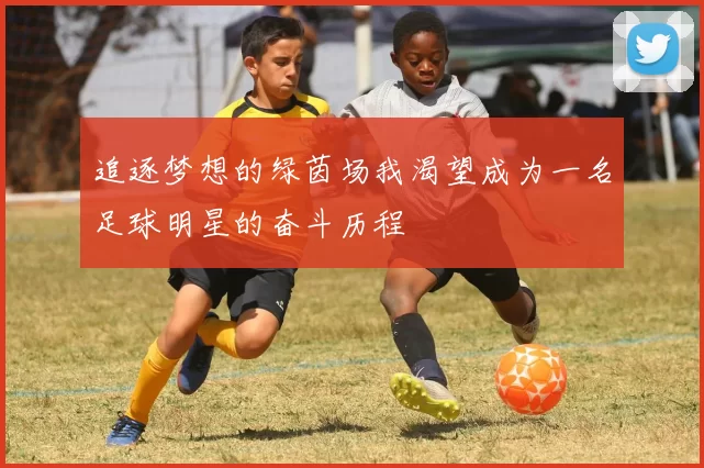 追逐梦想的绿茵场我渴望成为一名足球明星的奋斗历程
