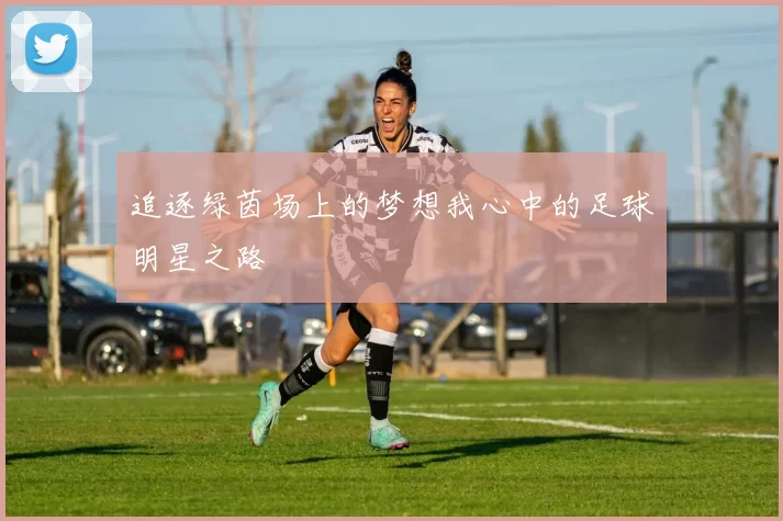 追逐绿茵场上的梦想我心中的足球明星之路