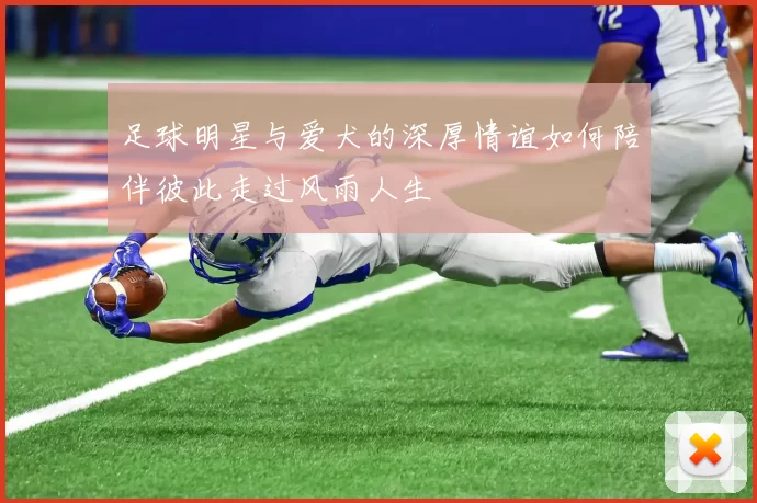 足球明星与爱犬的深厚情谊如何陪伴彼此走过风雨人生