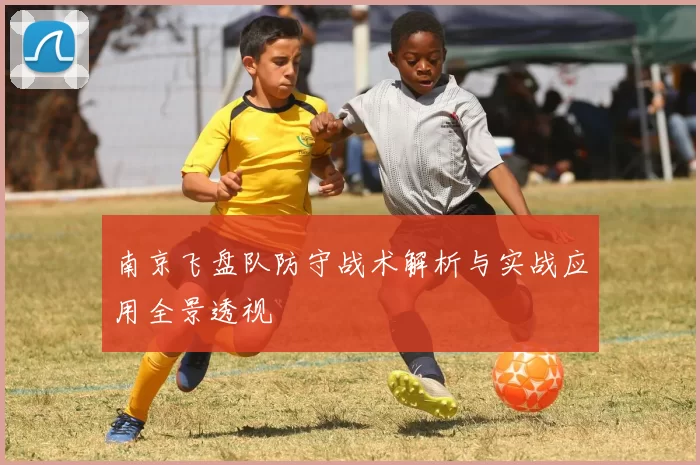 南京飞盘队防守战术解析与实战应用全景透视