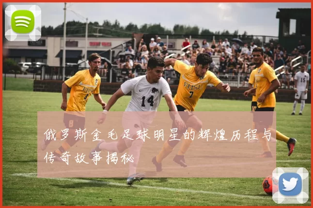 俄罗斯金毛足球明星的辉煌历程与传奇故事揭秘