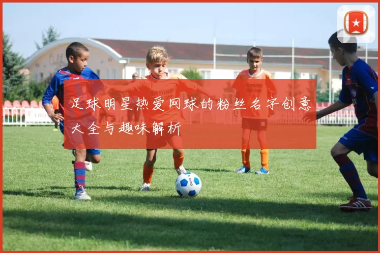 足球明星热爱网球的粉丝名字创意大全与趣味解析