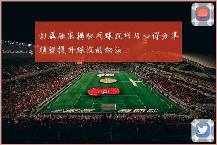刘磊独家揭秘网球技巧与心得分享助你提升球技的秘诀