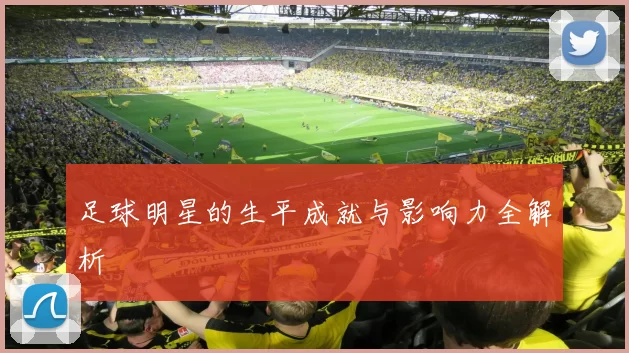 足球明星的生平成就与影响力全解析