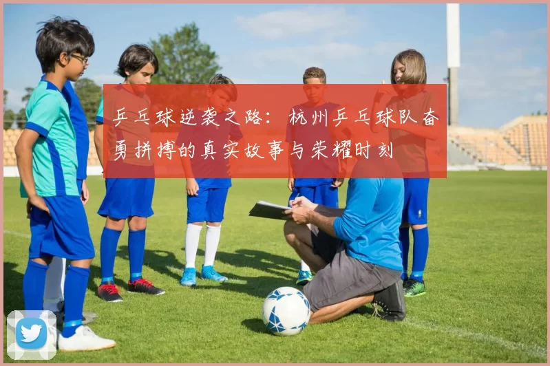乒乓球逆袭之路：杭州乒乓球队奋勇拼搏的真实故事与荣耀时刻