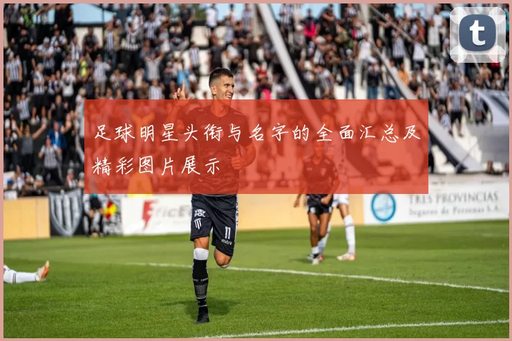 足球明星头衔与名字的全面汇总及精彩图片展示