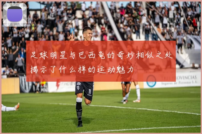 足球明星与巴西龟的奇妙相似之处揭示了什么样的运动魅力