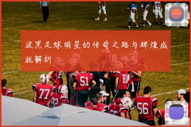 波黑足球明星的传奇之路与辉煌成就解析