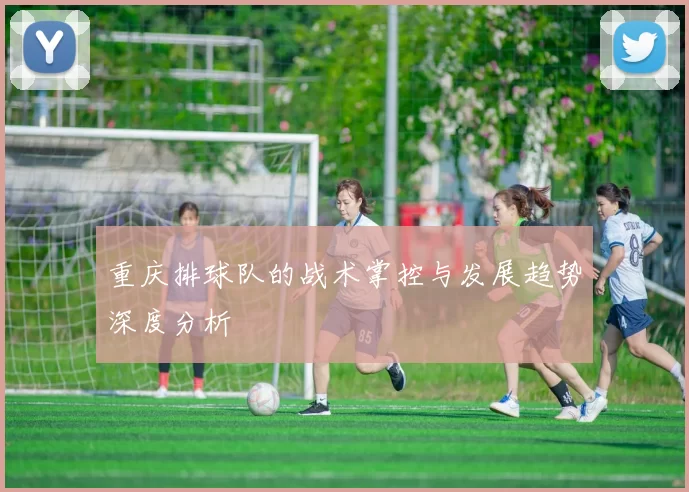 重庆排球队的战术掌控与发展趋势深度分析