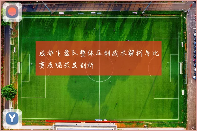 成都飞盘队整体压制战术解析与比赛表现深度剖析