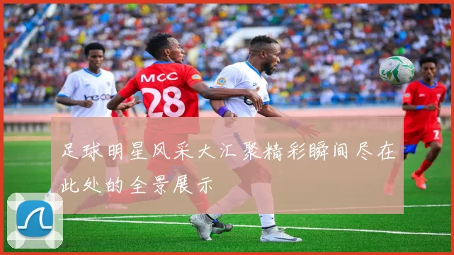 足球明星风采大汇聚精彩瞬间尽在此处的全景展示