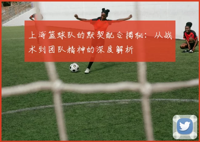 上海篮球队的默契配合揭秘：从战术到团队精神的深度解析