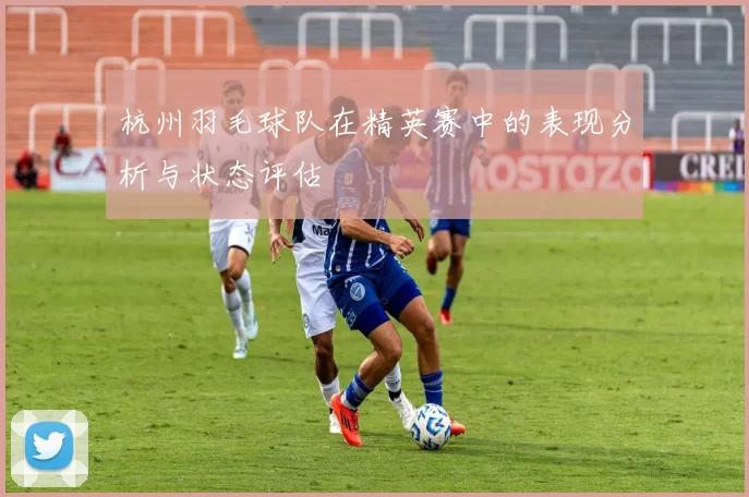 杭州羽毛球队在精英赛中的表现分析与状态评估